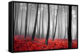 Autumn Woods-PhotoINC-Framed Stretched Canvas