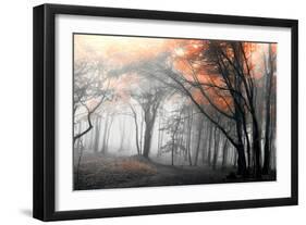 Autumn Woods-PhotoINC-Framed Photographic Print