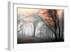 Autumn Woods-PhotoINC-Framed Photographic Print