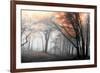 Autumn Woods-PhotoINC-Framed Photographic Print