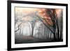 Autumn Woods-PhotoINC-Framed Photographic Print