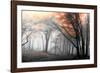 Autumn Woods-PhotoINC-Framed Photographic Print