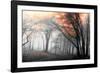 Autumn Woods-PhotoINC-Framed Photographic Print