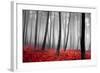 Autumn Woods-PhotoINC-Framed Photographic Print