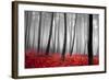 Autumn Woods-PhotoINC-Framed Photographic Print