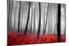 Autumn Woods-PhotoINC-Mounted Photographic Print