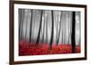 Autumn Woods-PhotoINC-Framed Photographic Print