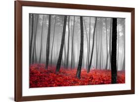 Autumn Woods-PhotoINC-Framed Photographic Print