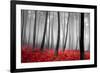 Autumn Woods-PhotoINC-Framed Photographic Print