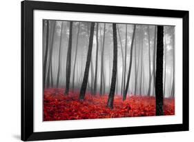 Autumn Woods-PhotoINC-Framed Photographic Print