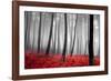 Autumn Woods-PhotoINC-Framed Photographic Print