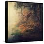 Autumn Woods-Philippe Sainte-Laudy-Framed Stretched Canvas