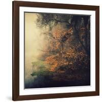 Autumn Woods-Philippe Sainte-Laudy-Framed Photographic Print