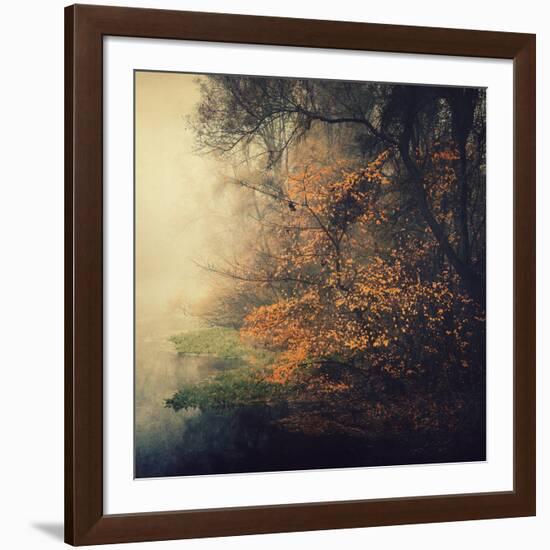 Autumn Woods-Philippe Sainte-Laudy-Framed Photographic Print