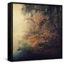 Autumn Woods-Philippe Sainte-Laudy-Framed Stretched Canvas