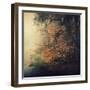 Autumn Woods-Philippe Sainte-Laudy-Framed Photographic Print