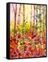 Autumn Woods-Neela Pushparaj-Framed Stretched Canvas