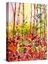 Autumn Woods-Neela Pushparaj-Stretched Canvas