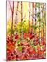 Autumn Woods-Neela Pushparaj-Mounted Giclee Print