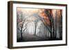 Autumn Woods-PhotoINC Studio-Framed Art Print