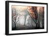 Autumn Woods-PhotoINC Studio-Framed Art Print