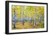 Autumn-Rus N.-Framed Photographic Print