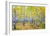 Autumn-Rus N.-Framed Photographic Print