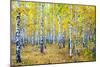 Autumn-Rus N.-Mounted Photographic Print