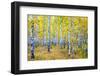 Autumn-Rus N.-Framed Photographic Print