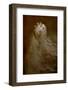 Autumn-Olga Mest-Framed Photographic Print