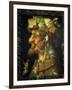 Autumn-Giuseppe Arcimboldo-Framed Giclee Print