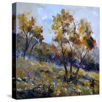 Autumn-Pol Ledent-Stretched Canvas