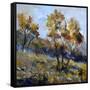 Autumn-Pol Ledent-Framed Stretched Canvas