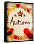 Autumn-Kimberly Allen-Framed Stretched Canvas