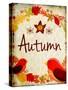 Autumn-Kimberly Allen-Stretched Canvas