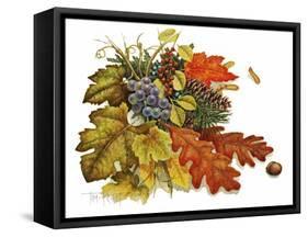 Autumn-Tim Knepp-Framed Stretched Canvas