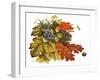 Autumn-Tim Knepp-Framed Giclee Print