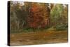 Autumn-Michael Budden-Stretched Canvas