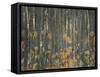 Autumn-Nel Talen-Framed Stretched Canvas