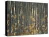 Autumn-Nel Talen-Stretched Canvas