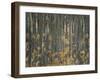 Autumn-Nel Talen-Framed Giclee Print