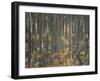 Autumn-Nel Talen-Framed Giclee Print