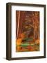 Autumn-Gigi Rosado-Framed Photographic Print