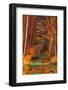 Autumn-Gigi Rosado-Framed Photographic Print