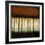 Autumnal Abstract IV-Jennifer Goldberger-Framed Art Print