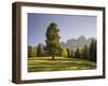 Autumnal Alp in Front of the Mountain Rosengarten, Kšlbleggiesen, South Tyrol-Rainer Mirau-Framed Photographic Print