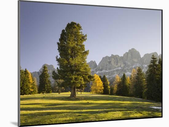 Autumnal Alp in Front of the Mountain Rosengarten, Kšlbleggiesen, South Tyrol-Rainer Mirau-Mounted Photographic Print