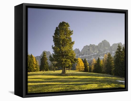 Autumnal Alp in Front of the Mountain Rosengarten, Kšlbleggiesen, South Tyrol-Rainer Mirau-Framed Stretched Canvas