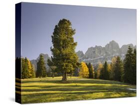 Autumnal Alp in Front of the Mountain Rosengarten, Kšlbleggiesen, South Tyrol-Rainer Mirau-Stretched Canvas