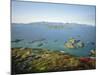 Autumnal Bloom, Senja Vewied from Sommeroy (Summer Isle), Near Tromso, Norway, Scandinavia-Dominic Webster-Mounted Photographic Print